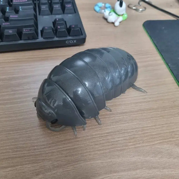 [BUNJANG] Bandai Dangomushi Beetle / 반다이 당고무시 공벌레