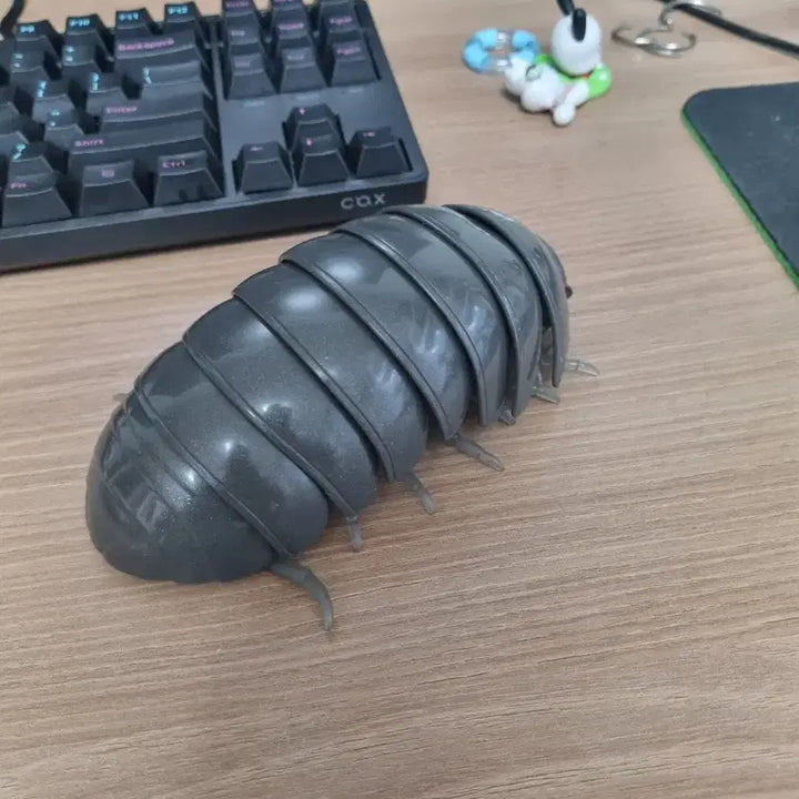 [BUNJANG] Bandai Dangomushi Beetle / 반다이 당고무시 공벌레