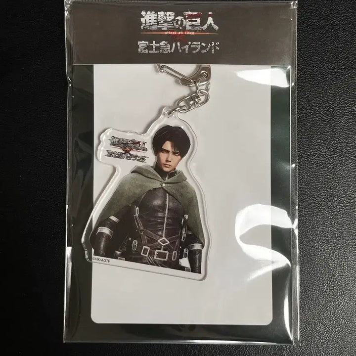 [BUNJANG] Attack on Titan Levi Acrylic Keyring Fujikyu / 진격의 거인 진격거 리바이 3D그래픽 아크릴 키링
