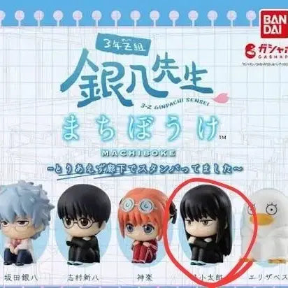[BUNJANG] Gintama 3rd Year Z Class Kotaro Katsura Gachapon Figure / 은혼 3학년 z반 언제오려나 마치보케 카츠라 코타로 즈라 가챠 피규어