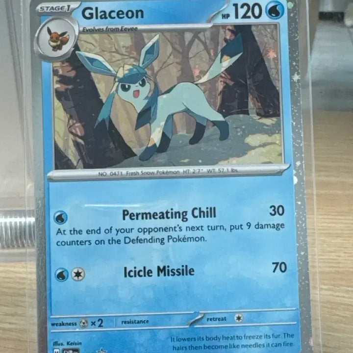 [BUNJANG] Pokemon Glaceon Promo North American Edition / 포켓몬스터 글레이시아 프로모 북미판