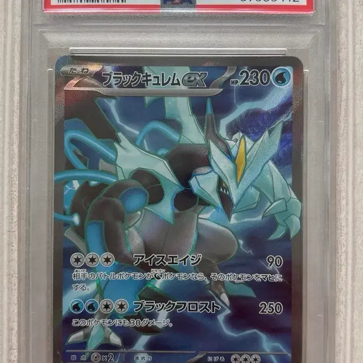 [BUNJANG] Pokemon Black Kyurem PSA 10 Graded Card / 포켓몬 블랙큐레무 PSA10(일판)