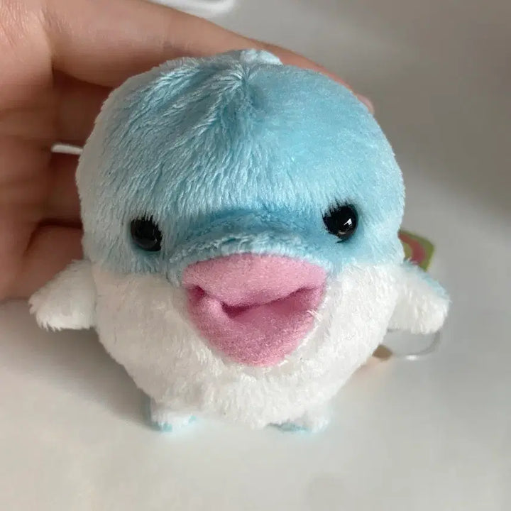 [BUNJANG] Minibeans Dolphin Plush / 미니빈즈 돌고래 인형 minibeans