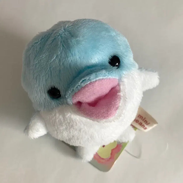 [BUNJANG] Minibeans Dolphin Plush / 미니빈즈 돌고래 인형 minibeans