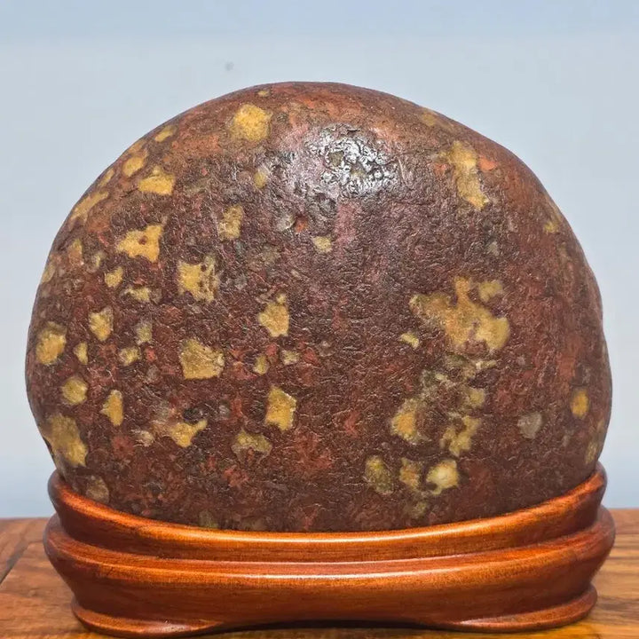[BUNJANG] Chinese Scholar Stone with Yellow Flowers / 26063010 노란 꽃이 예쁘게 핀 중국 수석 팝니다