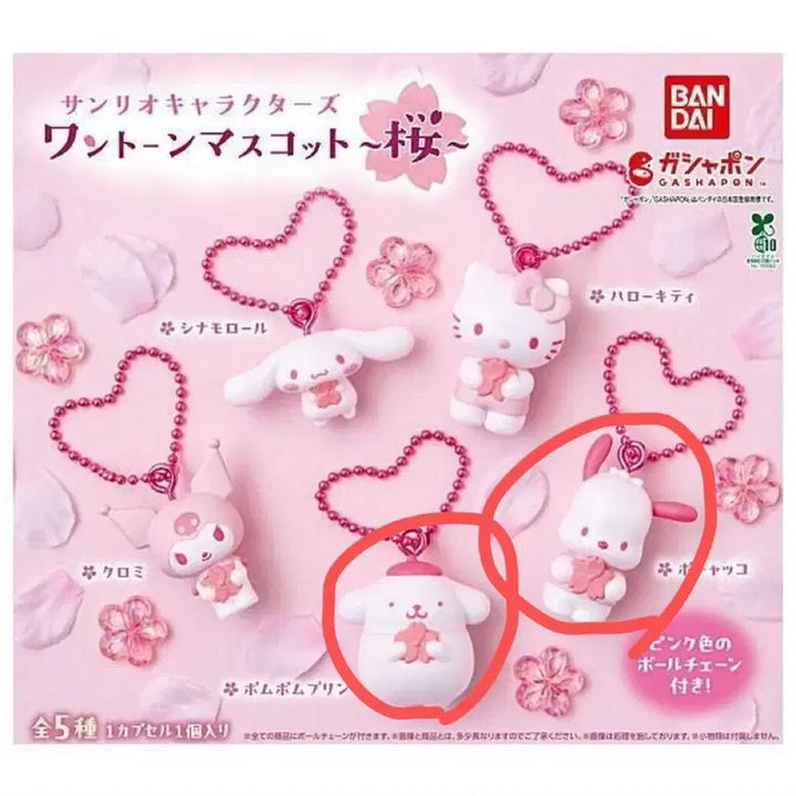 [BUNJANG] Sanrio Cherry Blossom Gacha Pompompurin, Pochacco / 산리오 벚꽃 가챠(포차코,폼폼푸린)