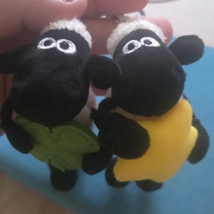 [BUNJANG] Shaun the Sheep Sheep Doll Keychain (Clover/Star) / 새상품:)숀더쉽 양 인형키링 (클로버/별)