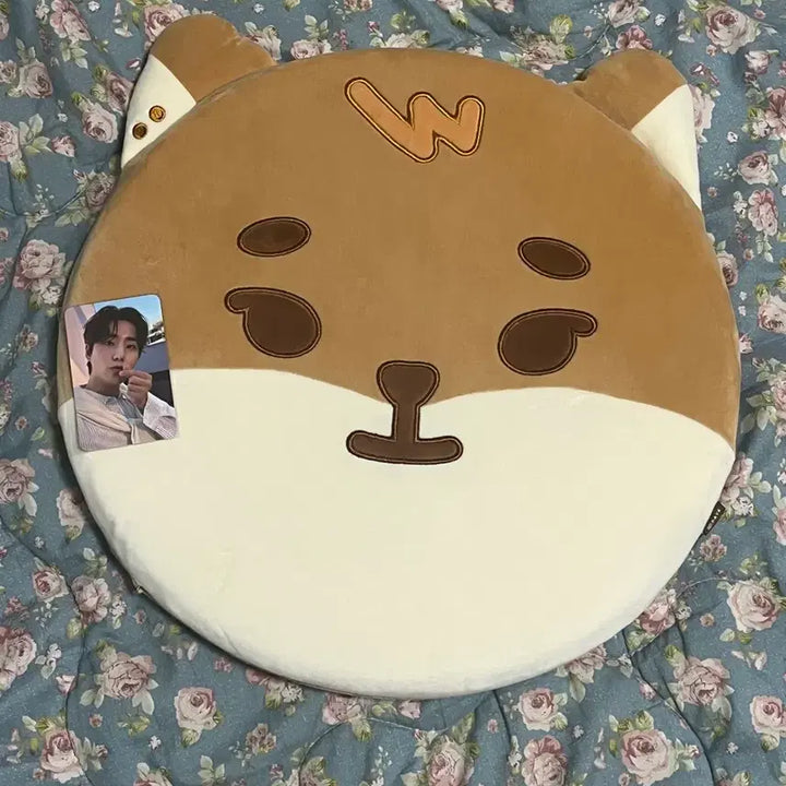 [BUNJANG] DAY6 Dannyimals Young K Petit Animals Cushion / 데이식스 데니멀즈 영케이 쁘띠멀즈 케 ke 방석 데멀 쁘멀 방케필돈