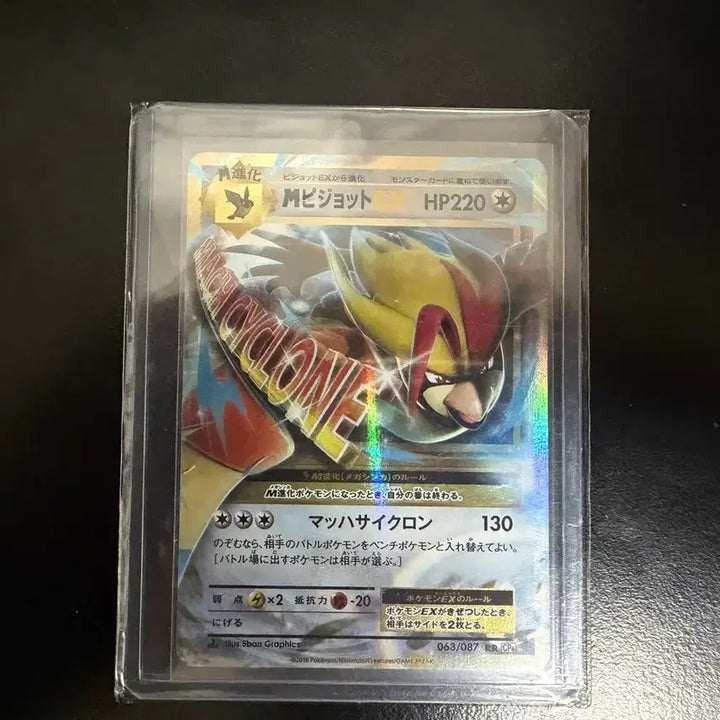 [BUNJANG] Pokemon 20th Anniversary Yanma Promo Set + 2 Cards / 포켓몬 20주년 야도란 프로모세트 + 20주년 카드 2장