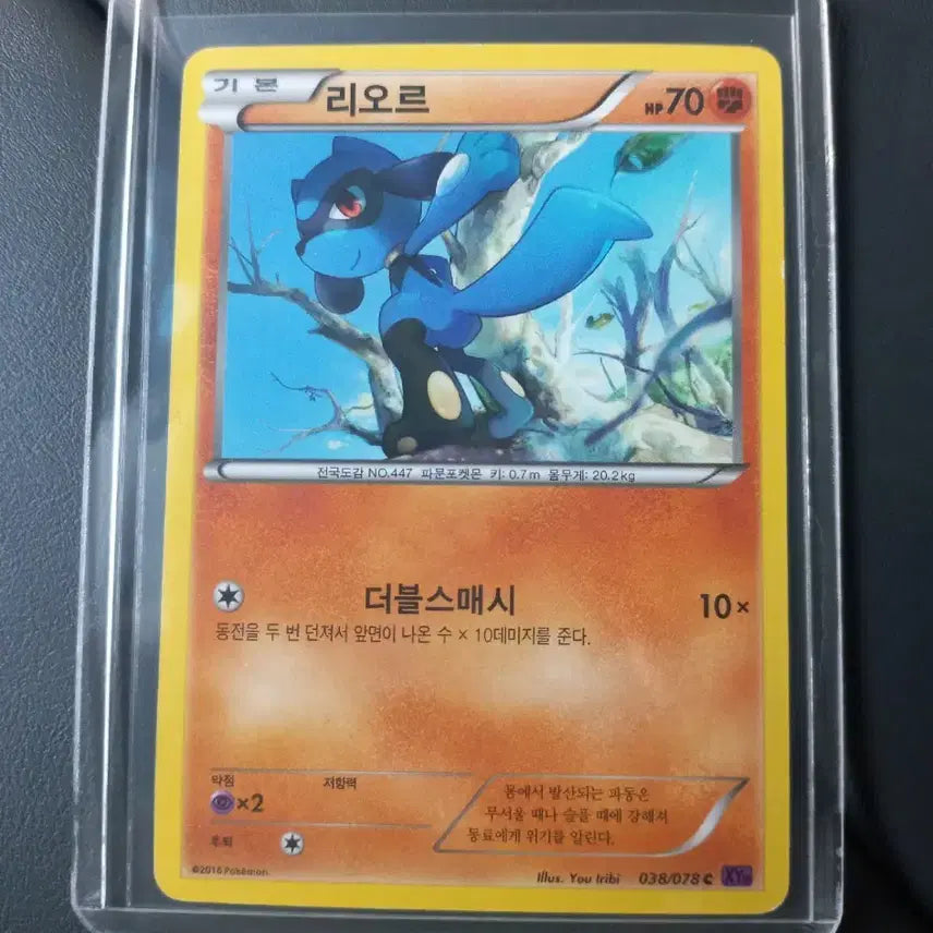 [BUNJANG] Pokemon Card / 리오르XY 2016 포켓몬카드