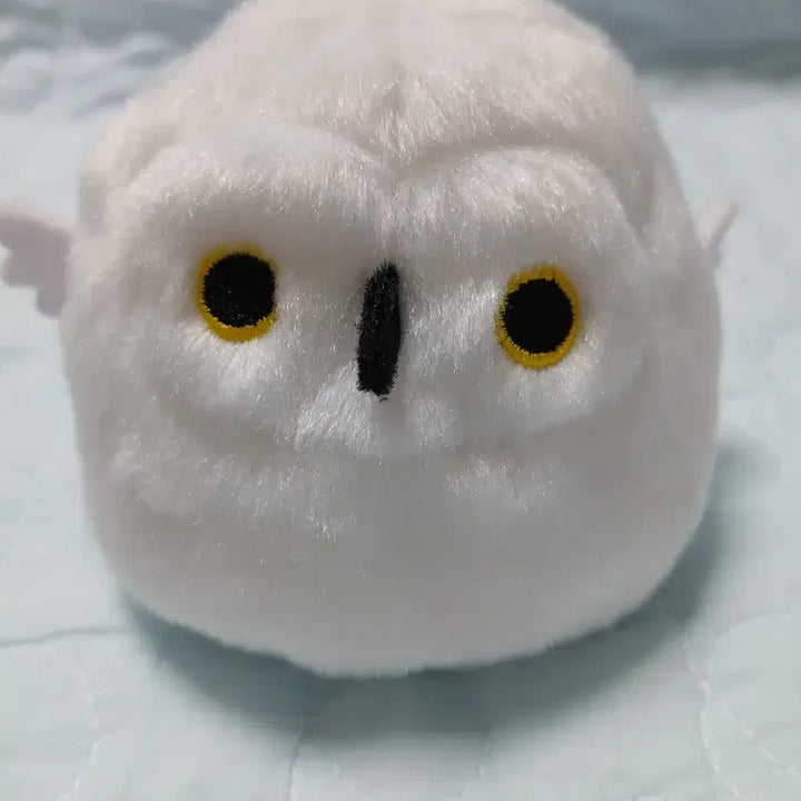[BUNJANG] Sanei Toridango White Owl Plush / 산에이 토리당고 흰올빼미 인형
