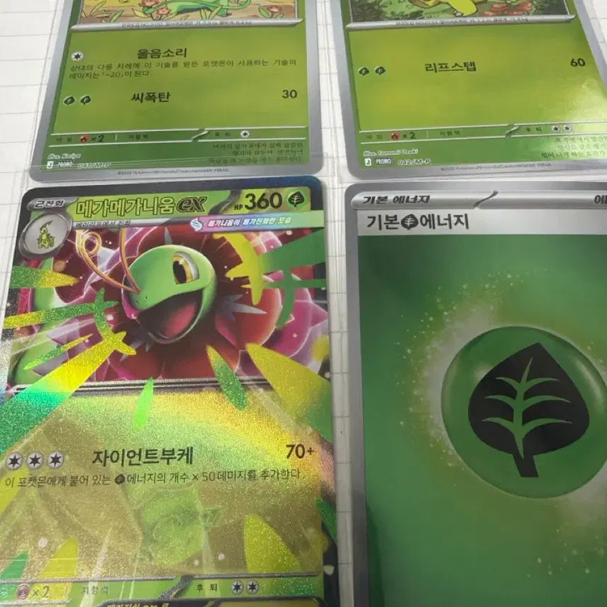 [BUNJANG] Chikorita Promo Set / 프로모 치코리타 세트
