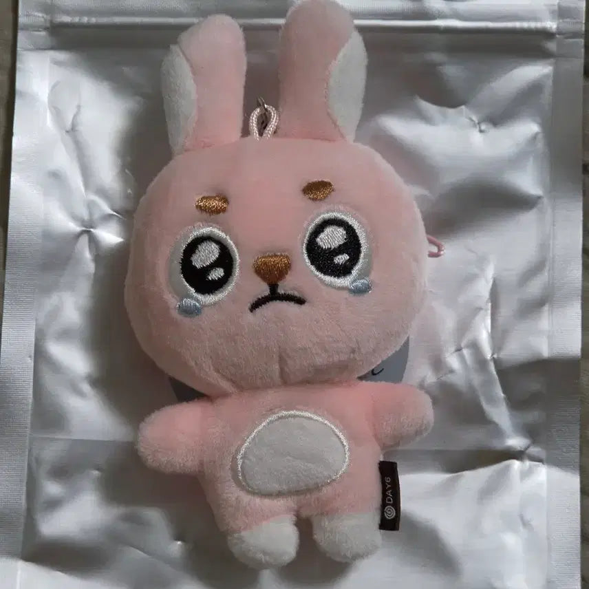[BUNJANG] Day6 Denimals Phil Secret Mini Plush Keyring / 원필 언필터드 데니멀즈 필 시크릿 미니 플러시 키링 뿌앵필끼