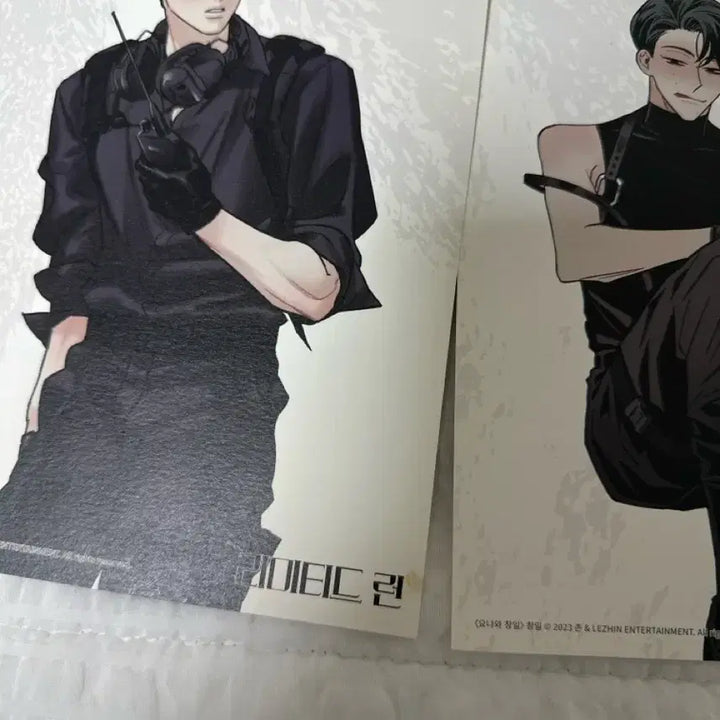 [BUNJANG] Black Cat Power Jinx Limited Run Ribetta Yona &amp; Chang Il Calendar Split Set Bundle Photocard / 흑묘력 징크스 리미티드런 리베타 요나와창일 등 달력분철 사진일괄