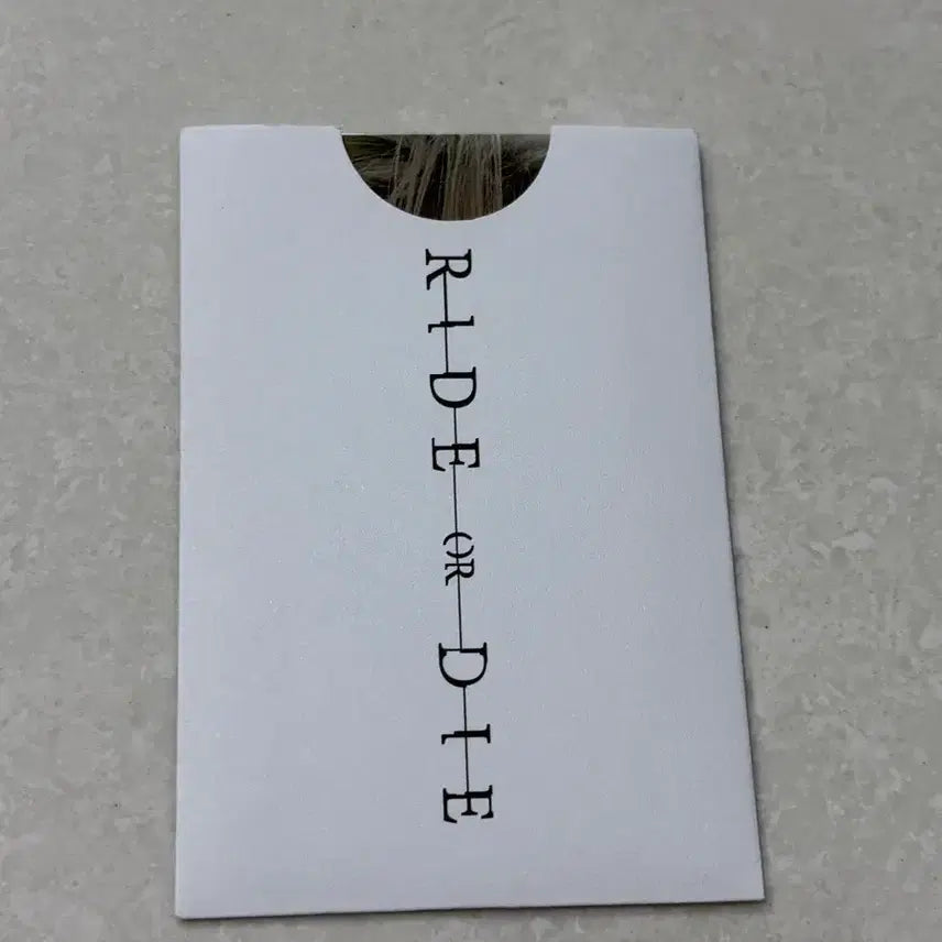 [BUNJANG] Evan Lee Hee Seung Official Photocard / 에반 Evan 이희승 공방 포카