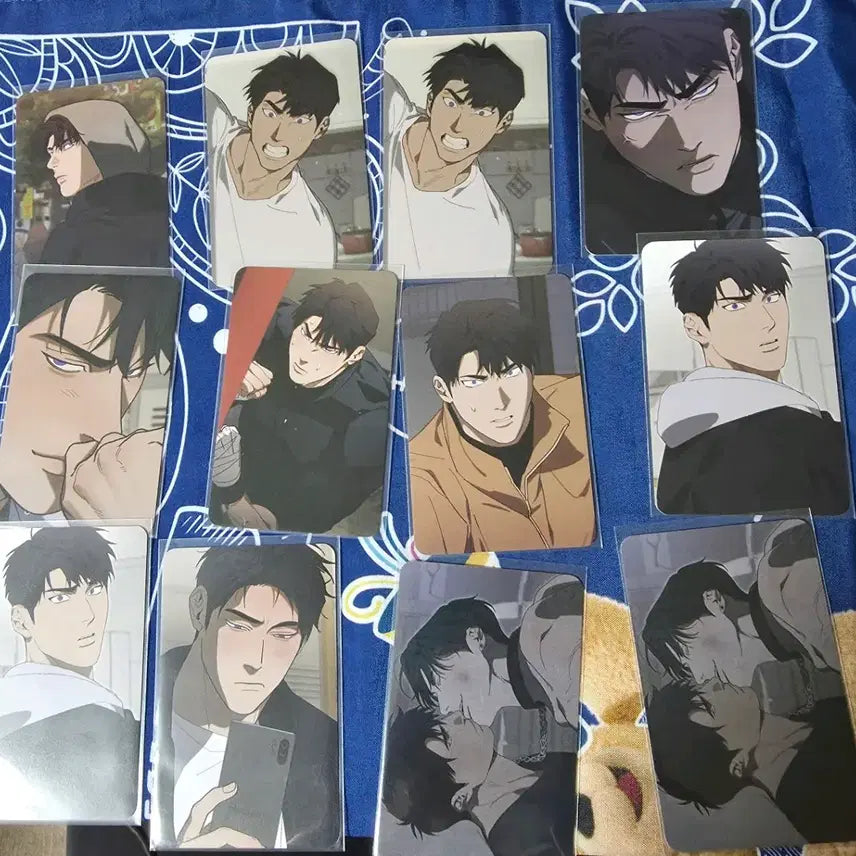 [BUNJANG] Stray Kids Incomplete Combustion Collection Photocard Bundle Set / 불완전연소 컬렉션 포토카드 12장 일괄