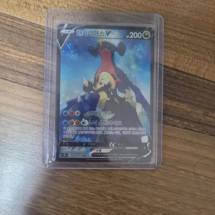 [BUNJANG] Pokemon Garchomp V CSR Special Illustration / 포켓몬 한카라아스 csr특일
