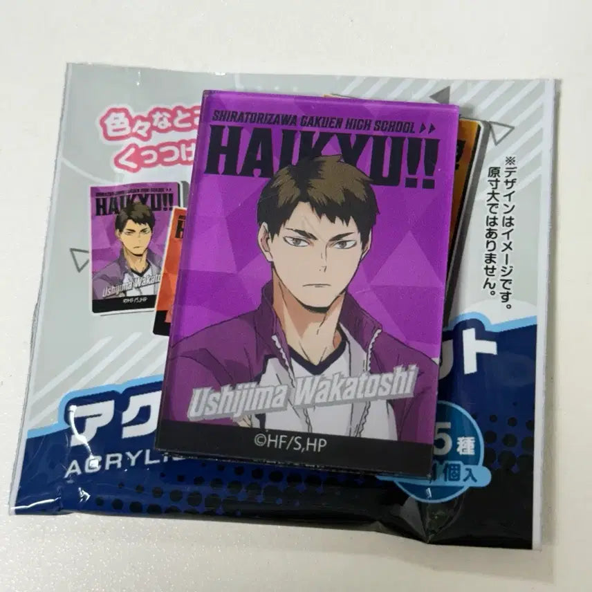 [BUNJANG] Haikyuu!! Wakatoshi Ushijima Magnet / 하이큐 우시지마 마그넷