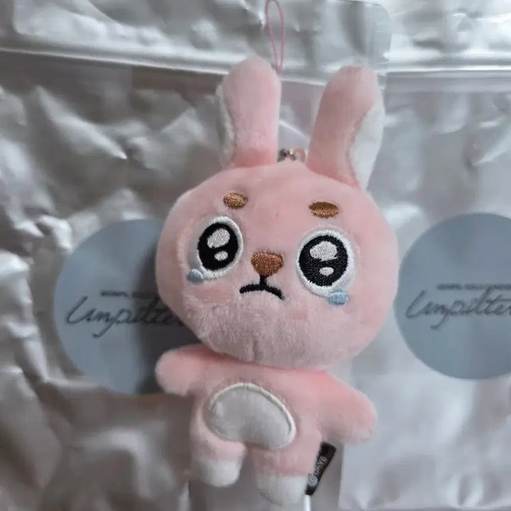 [BUNJANG] DAY6 Unfiltered Ppoingphil Ppoengphil Photocard / 데이식스 언필터드 뿌앵필 뿌엥필