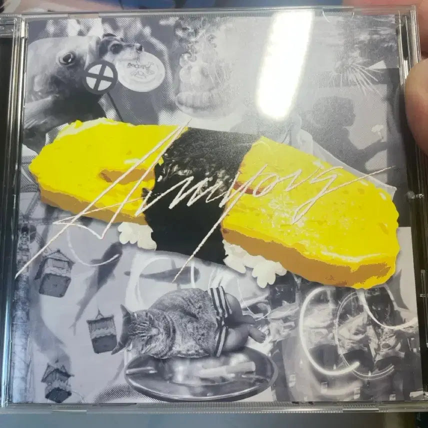 [BUNJANG] Aimyon Tamago CD / 아이묭 tamago 타마고  cd