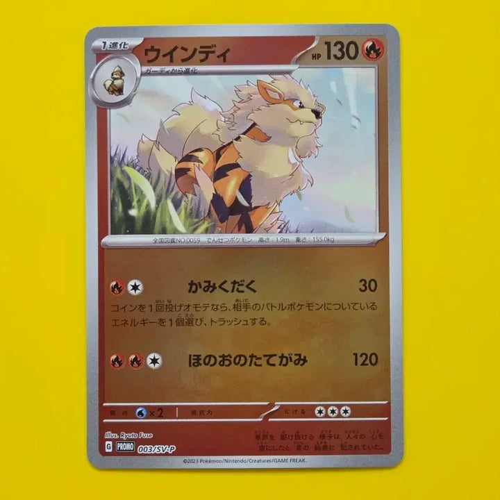[BUNJANG] Pokemon Card 2023 Windy Promo 003/SV-P Japanese Version SS Grade / 포켓몬카드 ss급 2023 윈디 프로모 003/SV-P 일본판 일판