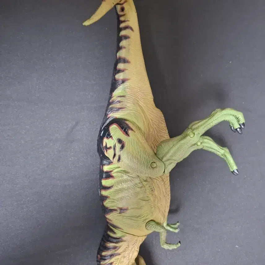 [BUNJANG] Lisaurus Tyrannosaurus Figure / 리사우루스 티라노사우루스 판매합니다.