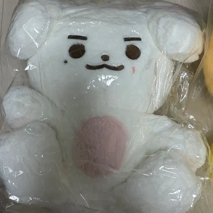 [BUNJANG] ZB1 Kim Taerae 40cm Large Plush Doll / 대왕 뭉래 제베원 김태래 인형 40cm