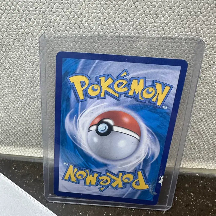 [BUNJANG] Pokemon Card Mightyena chr / 포켓몬 카드 그라에나 chr
