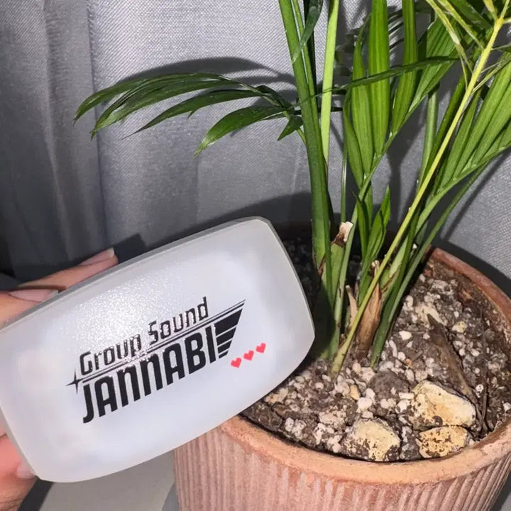 [BUNJANG] Jannabi Concert Lightstick Bracelet / 잔나비 콘서트 라이트 팔찌 판매