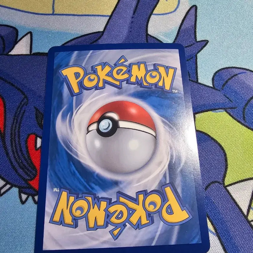[BUNJANG] Mega Charizard EX 097/081 SR / 메가샹델라 EX 097/081 SR