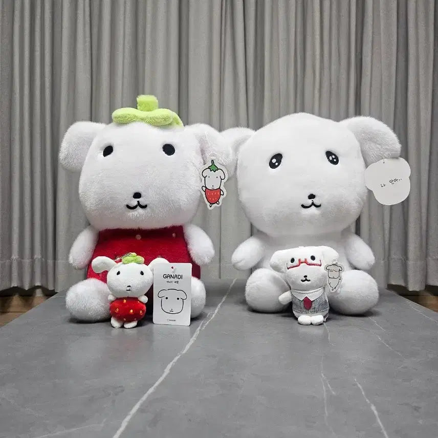 [BUNJANG] Na Ana GanaDi Plush Doll / 가나디 인형과 키링