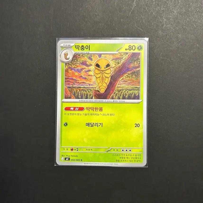[BUNJANG] Pokemon Card Ninjaster (002/083) / 포켓몬카드(닌자스피너)-[M4] 딱충이 (002/083)