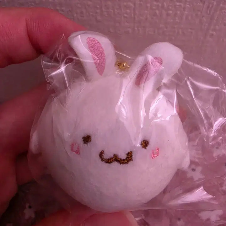 [BUNJANG] Sanrio Pompompurin Powder Rabbit Cookie Mascot Doll Keyring / 산리오 폼폼푸린 파우더 토끼 쿠키 배부른 시크릿 마스코트 인형 키링