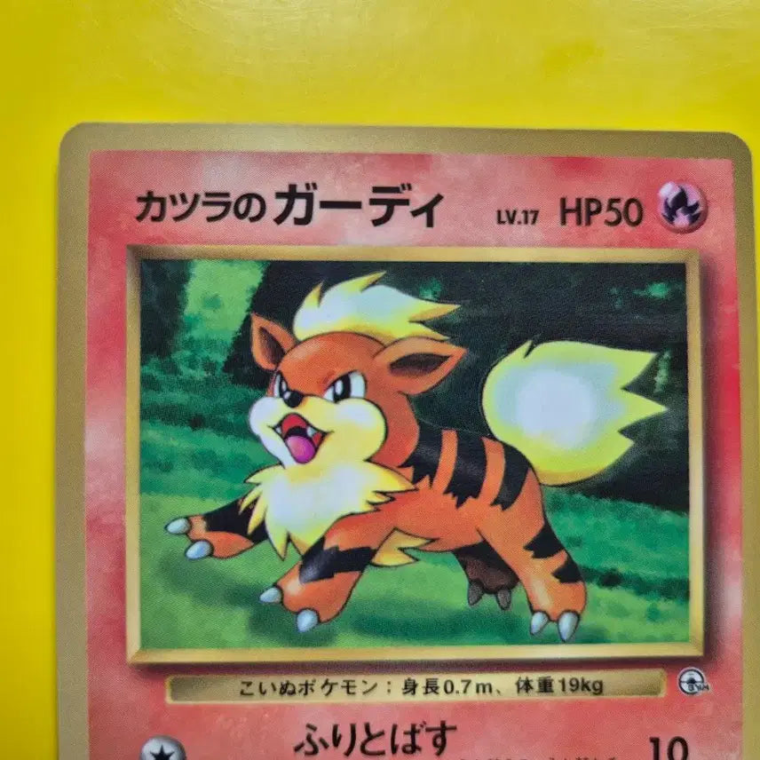 [BUNJANG] Pokemon Card 1996 Growlithe 1st Edition Promo / 포켓몬카드 1996 가디 1차한정초판 프로모 1st 1ed