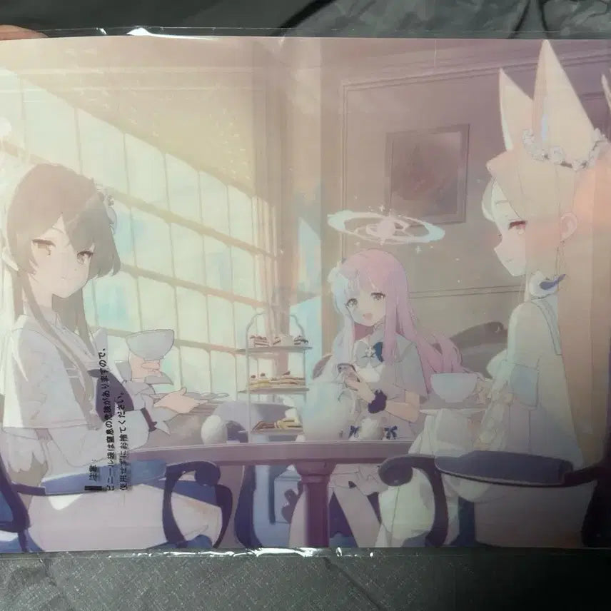 [BUNJANG] Seia Ichibankuji Prize J Clear File / 세이아 이치방쿠지 j상 클리어파일