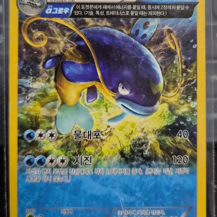 [BUNJANG] Pokemon Card Whiscash 020/070 U XY5 / 포켓몬카드 메깅 020/070 U XY5
