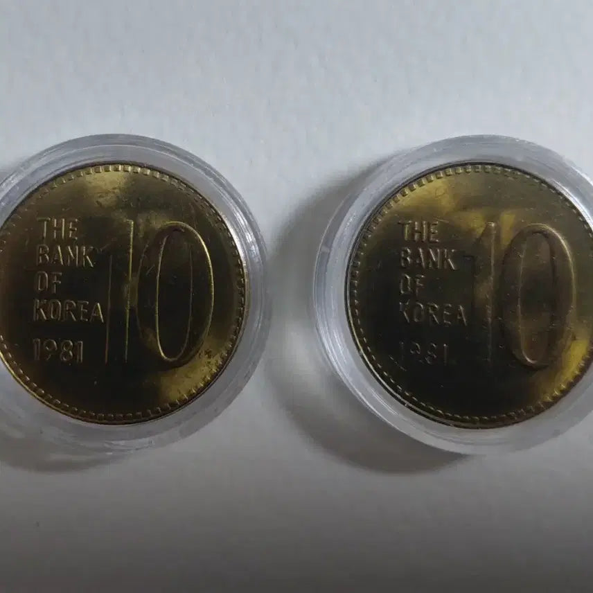 [BUNJANG] 1981 10 Won Coins (2 Pieces) / 1981년 10주 2개