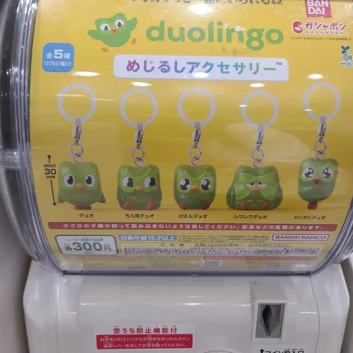 [BUNJANG] Duolingo 2-Piece Figure Set / 듀오링고 메지루시 2종