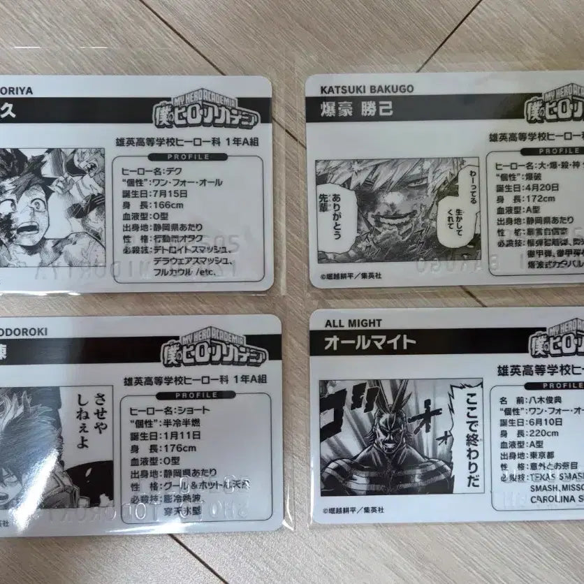 [BUNJANG] My Hero Academia 2025 Birthday Card Bundle Set / 히로아카 2025 버스데이카드