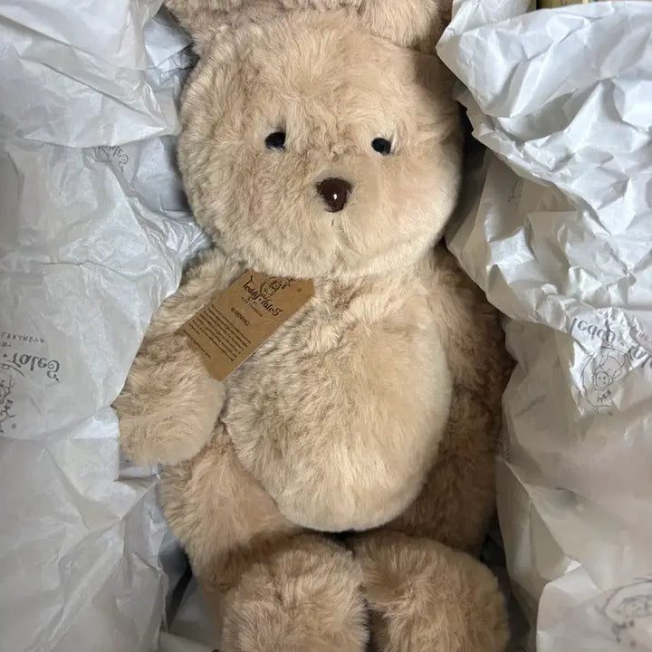 [BUNJANG] Teddy Tales Rena Bunny Toffeenut Latte Medium Size Plush / 테디테일즈 레나버니 토피넛라떼 미디엄사이즈