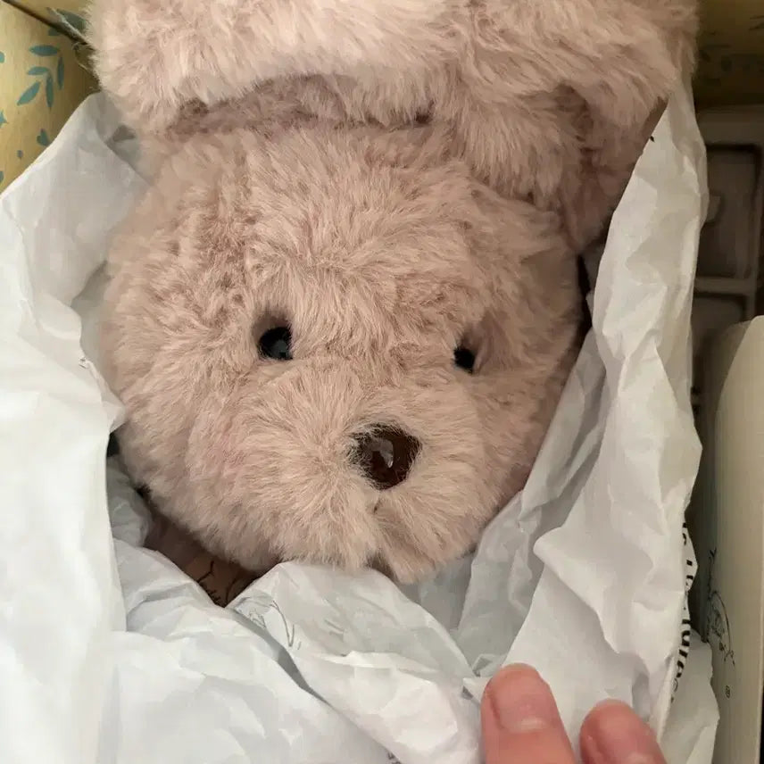 [BUNJANG] Teddy Tales Rena Bunny Toffeenut Latte Medium Size Plush / 테디테일즈 레나버니 토피넛라떼 미디엄사이즈