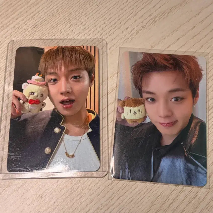 [BUNJANG] Park Jihoon &