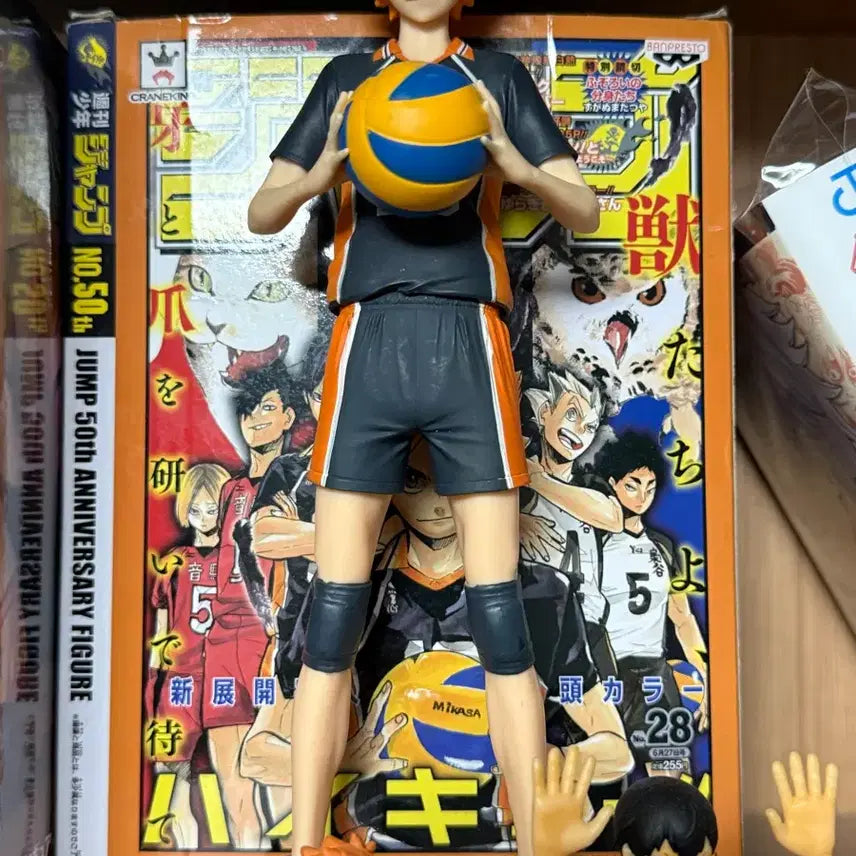 [BUNJANG] Haikyuu!! Shoyo Hinata Jump 50th Anniversary Figure + Bonus / 택포@ 마지막가격내림!! 하이큐 히나타 쇼요 피규어 점프 50주년 +덤