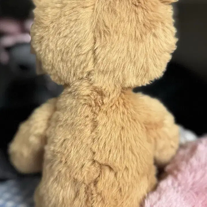 [BUNJANG] Jellycat Rufus Bear Plush Toy / 희귀단종 jellycat 젤리캣 루퍼스 베어