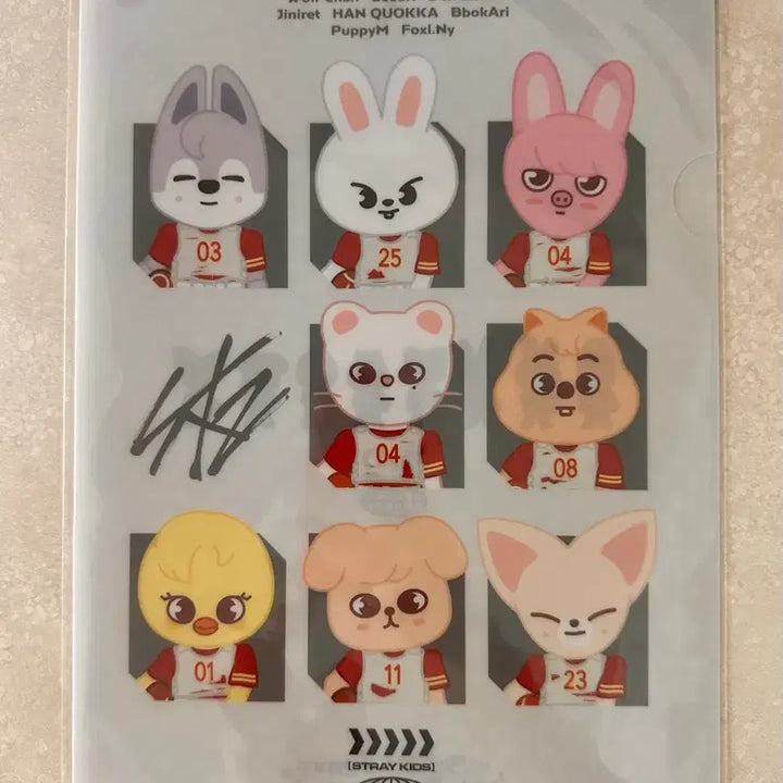 [BUNJANG] Stray Kids Japan Exhibition MD Clear File / 스트레이키즈 일본 md 클리어파일