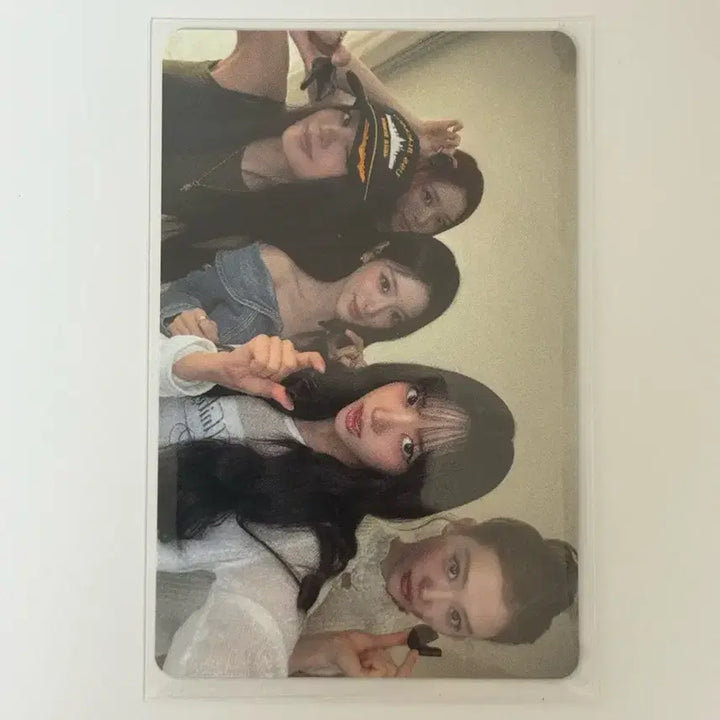 [BUNJANG] Miyau Tirori Communal Group Photocard / 미야오 띠로리 커뮨 단체 포카