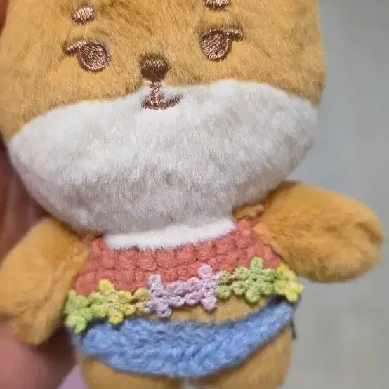[BUNJANG] DAY6 KE 10cm Plush / 원가이하)DAY6 쁘멀(10cm)케