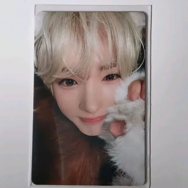 [BUNJANG] NCT WISH Sakuya Melon Musicwave Animal Photocard / 엔시티위시 멜론 뮤직웨이브 동물포카 퍼리포카 사쿠야