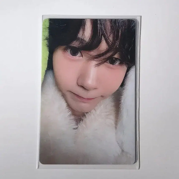 [BUNJANG] NCT WISH Melon Musicwave Animal Photocard Ryo / 엔시티위시 멜론 뮤직웨이브 동물포카 퍼리포카 료