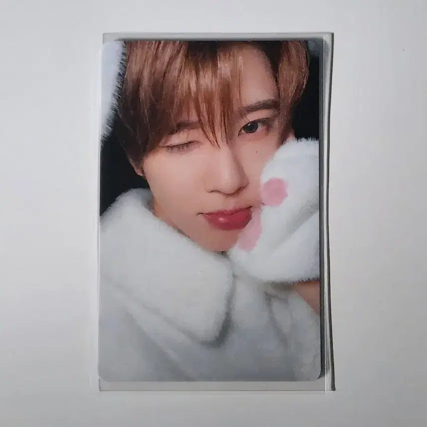 [BUNJANG] NCT WISH Melon Musicwave Furry Photocard Sion Bundle Set / 엔시티위시 멜론 뮤직웨이브 동물포카 퍼리포카 시온